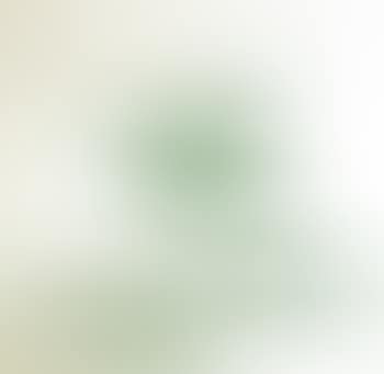 White on white with beans (preview)