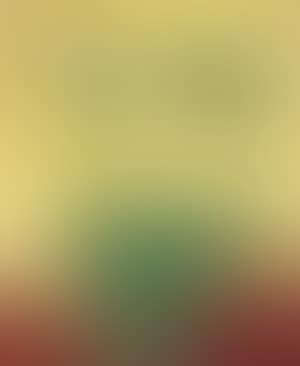 Still life of flowers (preview)
