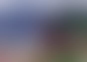 Coastal landscape N. Oeddoe (preview)