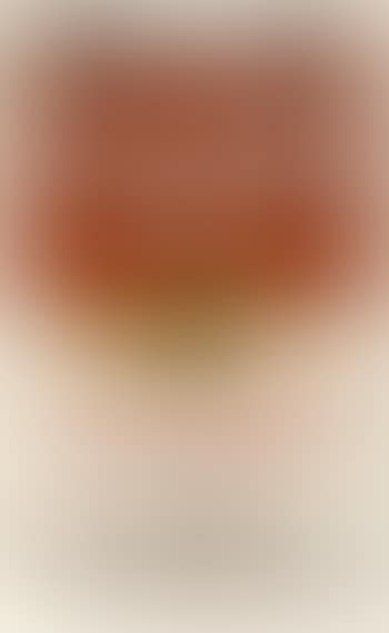 Campbell's soup II. Scotch broth (preview)