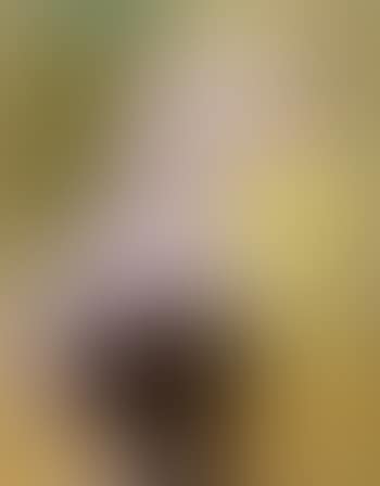 Nude with yellow hair (preview)
