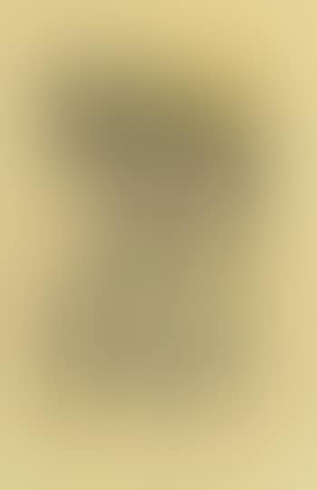 Yellow house, Lannion (preview)