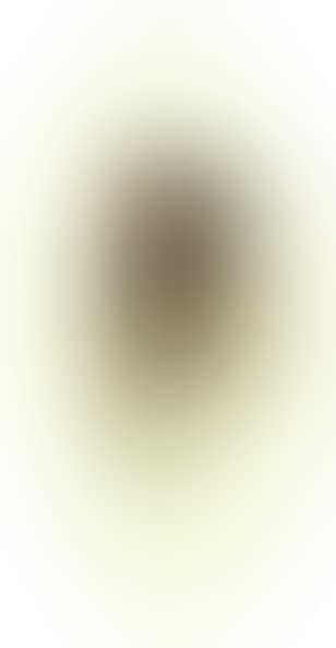 Portrait of an Indian (preview)