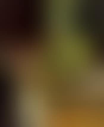 Still life (preview)