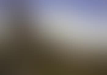Shepherd on the Roman Campagna (preview)