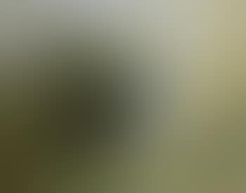 Nebuchadnezzar and figure (preview)