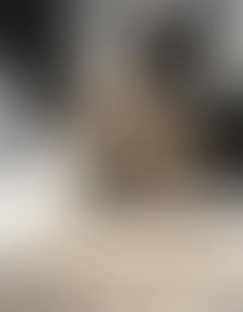 Action photo - from pictures of chocolate (preview)