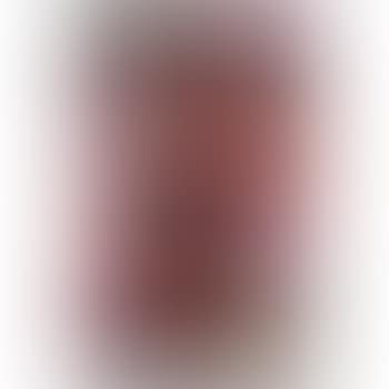 Ladies and gentlemen (preview)