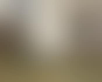 Self portrait of the artist on a grey cob (preview)