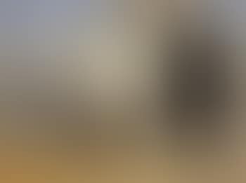 Saucy Sue winning the Oaks, 1925 (preview)