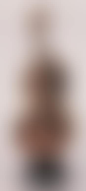 Violon decoupee (preview)