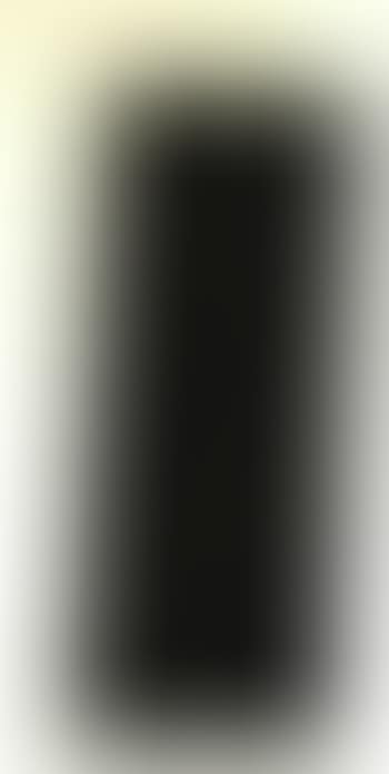 Spine I (preview)