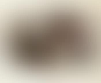 Abstract in brown, white, pink and ochre (preview)