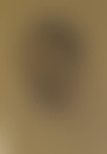 Portrait of a young man with a white collar (preview)