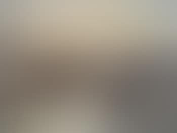 The Seine (preview)