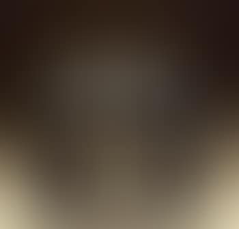 Horse grazing (preview)