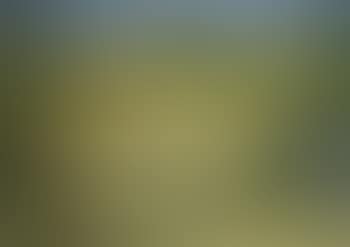 Paysage (preview)