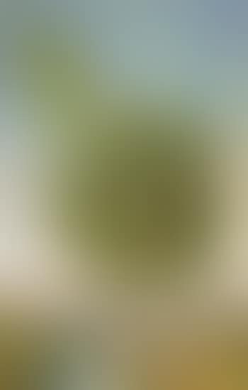La source (preview)