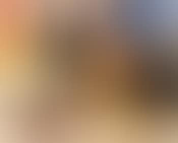 Nature morte avec des fruits (preview)