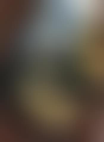 Le gueridon (preview)