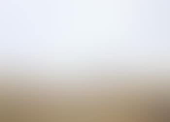 On Buttermere Fells (preview)