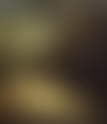 Bacchus as a child sleeping in wooded landscape (preview)