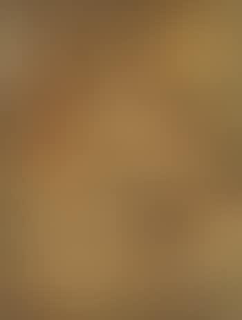 Composition (preview)