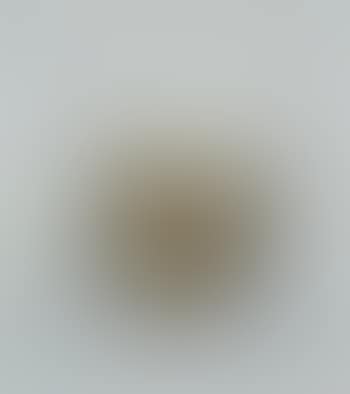 Nature morte (preview)