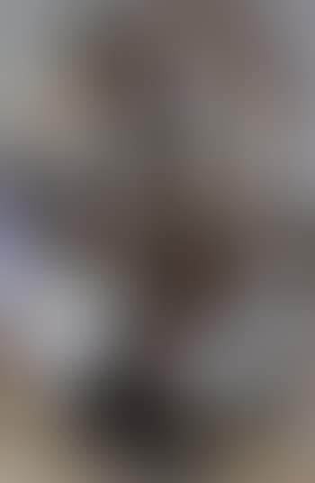 Untitled (preview)