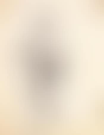 Abstract figure (preview)