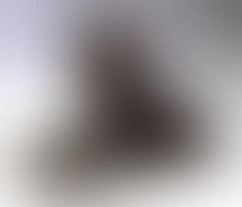 Lion qui pleure (preview)