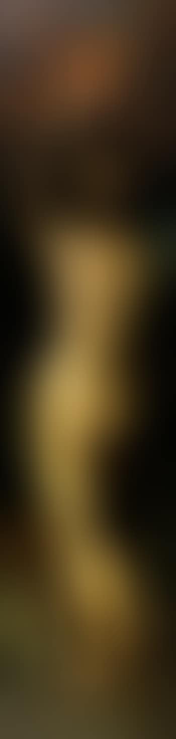 An allegory of taste (preview)