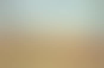 Wheat field (preview)