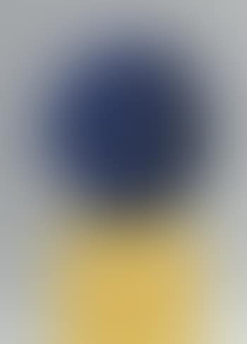 Untitled (preview)