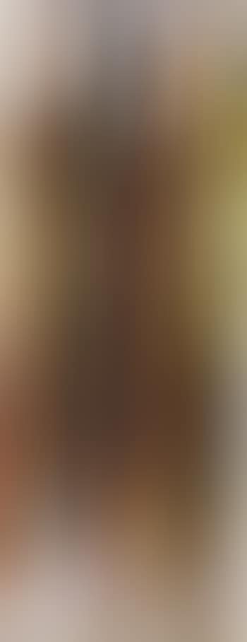 Accumulation Faber-Castell (preview)