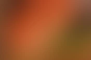 Dawn (preview)