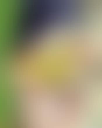 Semantologue satisfait (preview)
