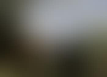 Extensive coastal landscape with shepherd and cattle (preview)