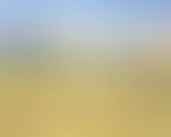 Summer landscape (preview)