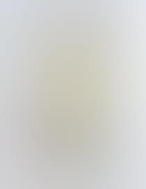 Standing female nude (preview)