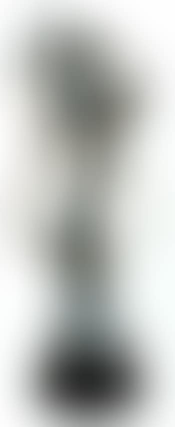 La violoniste (preview)