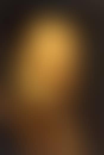 Portrait of gentleman wearing a brown doublet (preview)