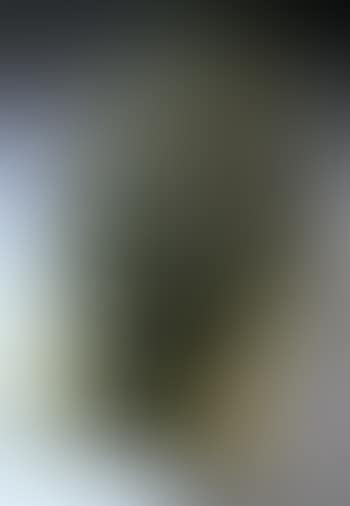 Third portrait of meum - mask (preview)
