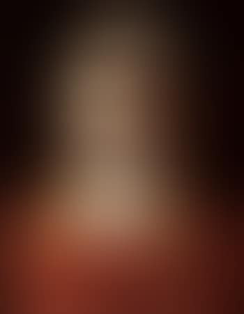 Portrait of a lady in a red bodice (preview)