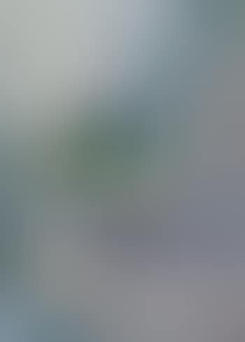 Tropical birds (preview)