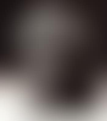 Pierre de Wiessant (preview)