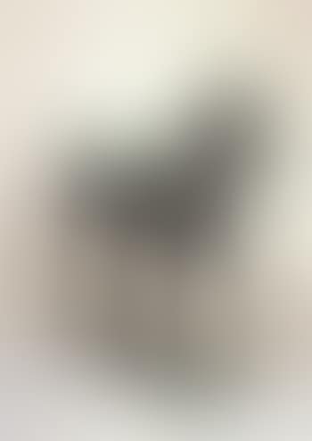 Horse (preview)