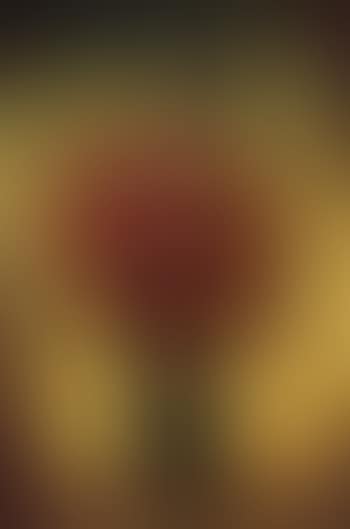 Urn of flowers with geese (preview)