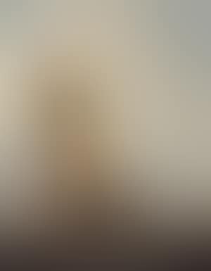 An American schooner (preview)