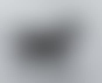 Study of a bay stallion (preview)